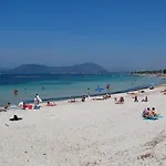 Alma Di
