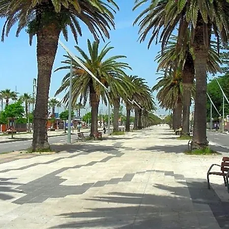 Alma Di אלגהרו