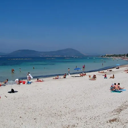 Alma Di